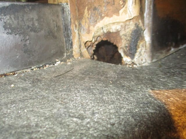 駆除マイスター 　ネズミ駆除専門店の紹介写真_1枚目